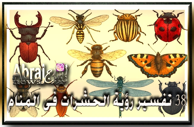 تفسير رؤية الحشرات فى المنام