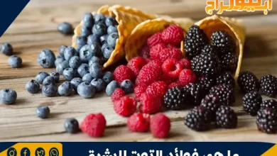 ما هي فوائد التوت للبشرة
