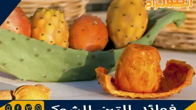 فوائد التين الشوكي