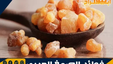 فوائد الصمغ العربي 2 فوائد الصمغ العربي