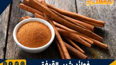 فوائد شرب القرفة