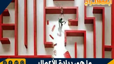 ريادة الأعمال