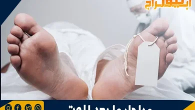 مراحل ما بعد الموت