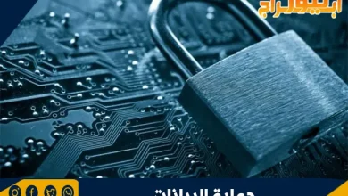 حماية البيانات