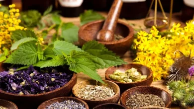 النباتات الطبية