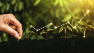دور النباتات في الحد من التلوث