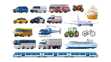 Transportation 768x432 1