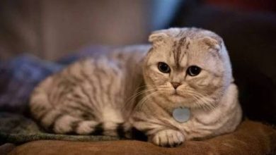 images 7 7