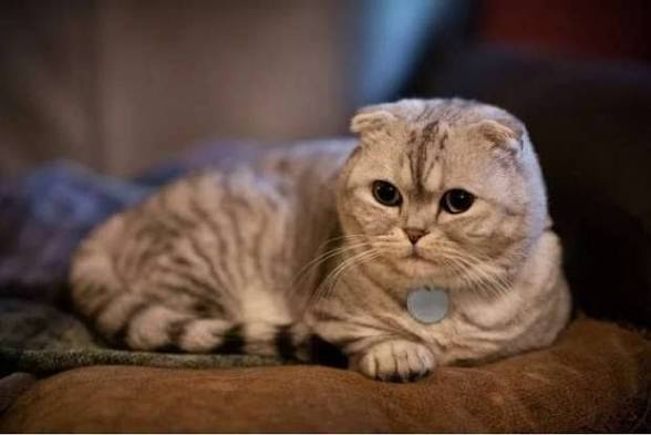 images 7 7