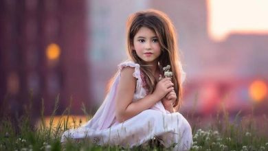 images 24
