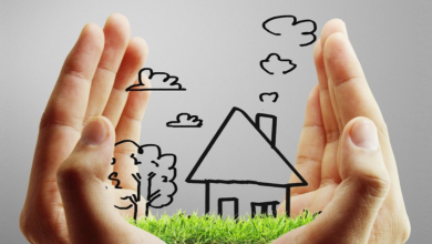 تصميم بدون عنوان 20260524 202719 ٠٠٠٠