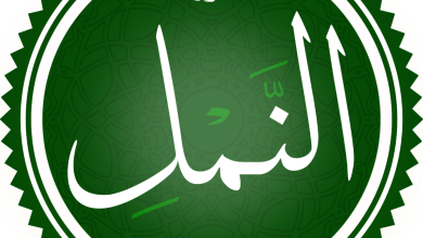 20260706 024840 ٠٠٠٠