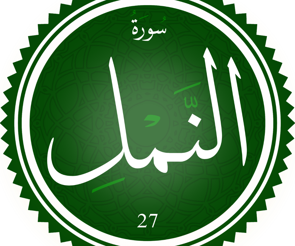 20260706 024840 ٠٠٠٠