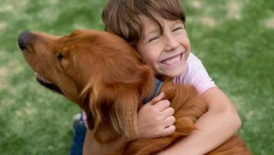 20260706 025109 ٠٠٠٠